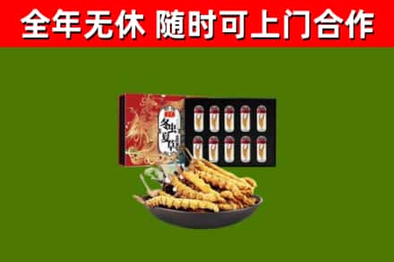 上思县回收冬虫夏草价格