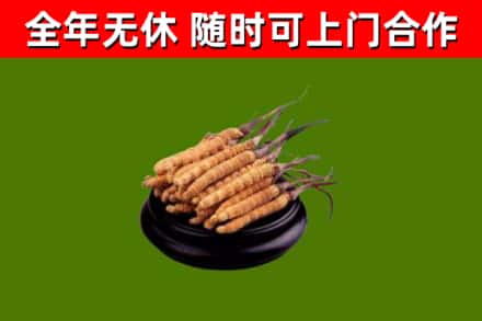 上思县烟酒回收冬虫夏草.jpg